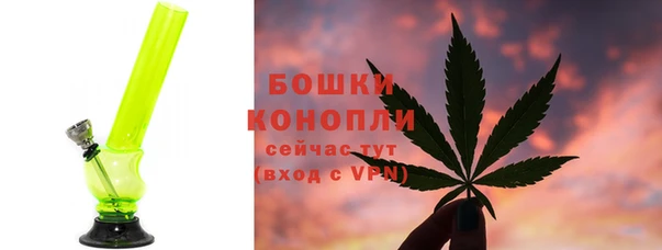 прущие грибы Арсеньев