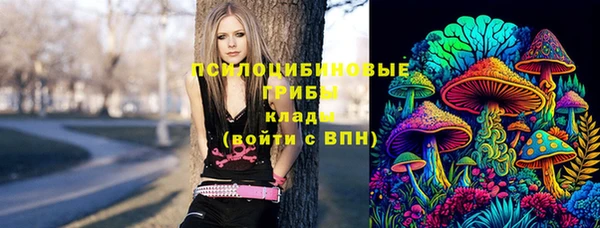 дживик Аркадак