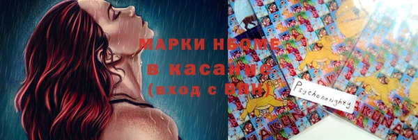 прущие грибы Арсеньев