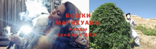 дживик Аркадак