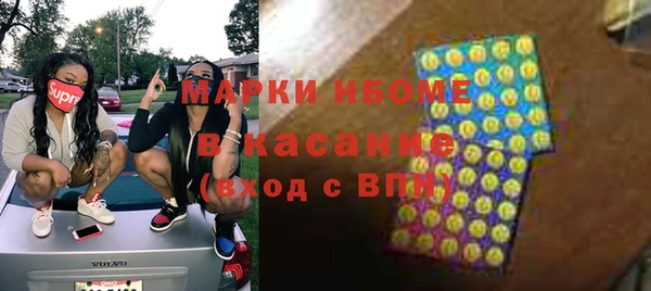 прущие грибы Арсеньев