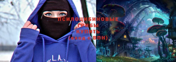 прущие грибы Арсеньев