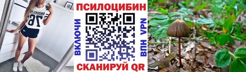 дарк нет официальный сайт  Мещовск  Галлюциногенные грибы прущие грибы 